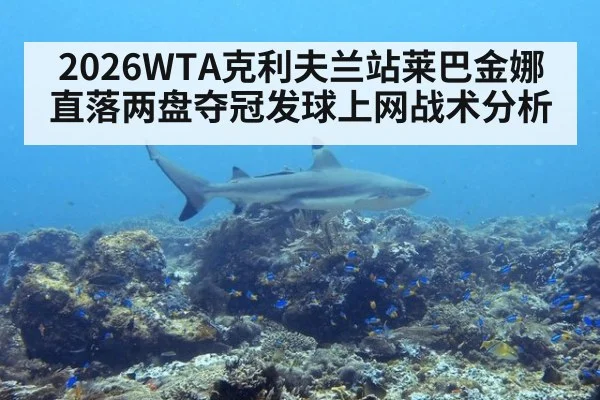 2026WTA克利夫兰站莱巴金娜直落两盘夺冠发球上网战术分析